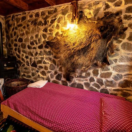 Catunu' Lui Emil Villa Carbunesti Екстериор снимка